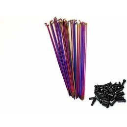 Marque Rayons Total Db Rainbow (X20)